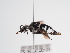  ( - TJW_1126)  @11 [ ] nrr (2022) Unspecified Thomas Wood
