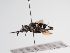  ( - TJW_1133)  @11 [ ] nrr (2022) Unspecified Thomas Wood