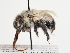  ( - TJW_1177)  @11 [ ] nrr (2023) Unspecified Thomas Wood