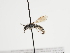  ( - TJW_1235)  @11 [ ] nrr (2023) Unspecified Thomas Wood