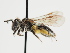  ( - TJW_1275)  @11 [ ] nrr (2023) Unspecified Thomas Wood