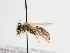  ( - TJW_1303)  @11 [ ] nrr (2023) Unspecified Thomas Wood
