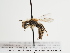  ( - TJW_1309)  @11 [ ] nrr (2023) Unspecified Thomas Wood