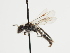  ( - TJW_1313)  @11 [ ] nrr (2023) Unspecified Thomas Wood