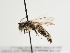  ( - TJW_1323)  @11 [ ] nrr (2023) Unspecified Thomas Wood