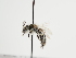  ( - TJW_1327)  @11 [ ] nrr (2023) Unspecified Thomas Wood