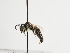  ( - TJW_1332)  @11 [ ] nrr (2023) Unspecified Thomas Wood