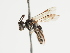  ( - TJW_1357)  @11 [ ] nrr (2023) Unspecified Thomas Wood