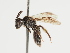  ( - TJW_1359)  @11 [ ] nrr (2023) Unspecified Thomas Wood