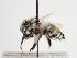  ( - TJW_1367)  @11 [ ] nrr (2023) Unspecified Thomas Wood