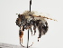  ( - TJW_1399)  @11 [ ] nrr (2023) Unspecified Thomas Wood