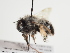  ( - TJW_1401)  @11 [ ] nrr (2023) Unspecified Thomas Wood
