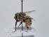  ( - TJW_1427)  @11 [ ] nrr (2023) Unspecified Thomas Wood