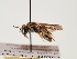  ( - TJW_1447)  @11 [ ] nrr (2023) Unspecified Thomas Wood