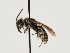 ( - TJW_1449)  @11 [ ] nrr (2023) Unspecified Thomas Wood