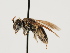  ( - TJW_1450)  @11 [ ] nrr (2023) Unspecified Thomas Wood