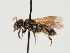  ( - TJW_1451)  @11 [ ] nrr (2023) Unspecified Thomas Wood