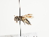  ( - TJW_1463)  @11 [ ] nrr (2023) Unspecified Thomas Wood