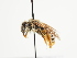  ( - TJW_1486)  @11 [ ] nrr (2023) Unspecified Thomas Wood