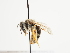  ( - TJW_1487)  @11 [ ] nrr (2023) Unspecified Thomas Wood