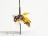  ( - TJW_1492)  @11 [ ] nrr (2023) Unspecified Thomas Wood