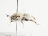  ( - TJW_1512)  @11 [ ] nrr (2023) Unspecified Thomas Wood