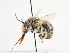  ( - TJW_1523)  @11 [ ] nrr (2023) Unspecified Thomas Wood