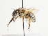  ( - TJW_1524)  @11 [ ] nrr (2023) Unspecified Thomas Wood