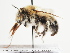  ( - TJW_1530)  @11 [ ] nrr (2023) Unspecified Thomas Wood