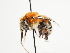  ( - TJW_1533)  @11 [ ] nrr (2023) Unspecified Thomas Wood