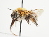  ( - TJW_1534)  @11 [ ] nrr (2023) Unspecified Thomas Wood