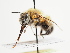  ( - TJW_1541)  @11 [ ] nrr (2023) Unspecified Thomas Wood