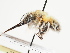  ( - TJW_1542)  @11 [ ] nrr (2023) Unspecified Thomas Wood