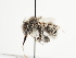  ( - TJW_1545)  @11 [ ] nrr (2023) Unspecified Thomas Wood