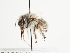  ( - TJW_1556)  @11 [ ] nrr (2023) Unspecified Thomas Wood
