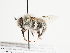  ( - TJW_1557)  @11 [ ] nrr (2023) Unspecified Thomas Wood