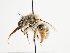  ( - TJW_1558)  @11 [ ] nrr (2023) Unspecified Thomas Wood