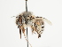  ( - TJW_1560)  @11 [ ] nrr (2023) Unspecified Thomas Wood