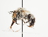  ( - TJW_1584)  @11 [ ] nrr (2023) Unspecified Thomas Wood