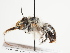  ( - TJW_1585)  @11 [ ] nrr (2023) Unspecified Thomas Wood