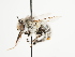  ( - TJW_1589)  @11 [ ] nrr (2023) Unspecified Thomas Wood