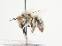  ( - TJW_1590)  @11 [ ] nrr (2023) Unspecified Thomas Wood