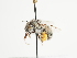  ( - TJW_1605)  @11 [ ] nrr (2023) Unspecified Thomas Wood