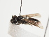  ( - TJW_1624)  @11 [ ] nrr (2023) Unspecified Thomas Wood