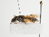  ( - TJW_1627)  @11 [ ] nrr (2023) Unspecified Thomas Wood