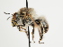  ( - TJW_1696)  @11 [ ] nrr (2023) Unspecified Thomas Wood