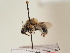  ( - TJW_1713)  @11 [ ] nrr (2025) Unspecified Thomas Wood