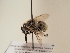 ( - TJW_1751)  @11 [ ] nrr (2025) Unspecified Thomas Wood