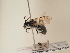  ( - TJW_1786)  @11 [ ] nrr (2025) Unspecified Thomas Wood