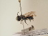  ( - TJW_1789)  @11 [ ] nrr (2025) Unspecified Thomas Wood